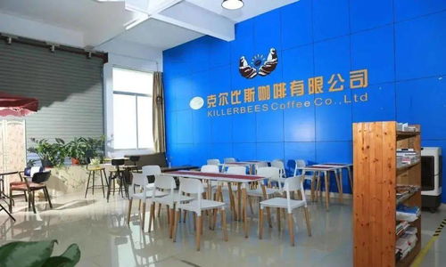 點贊！坦洲一企業(yè)入選廣東省工業(yè)旅游培育資源庫，文化藝術交流策劃點亮工業(yè)新風景